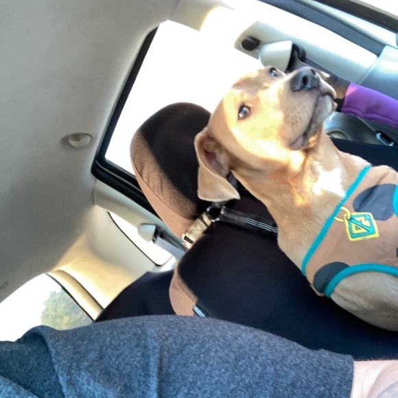 Meet your Posher, Rebecca - Picture 6 of 8